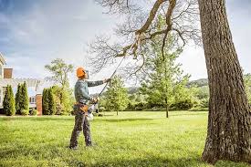 Best Tree Trimming and Pruning  in Tennille, GA